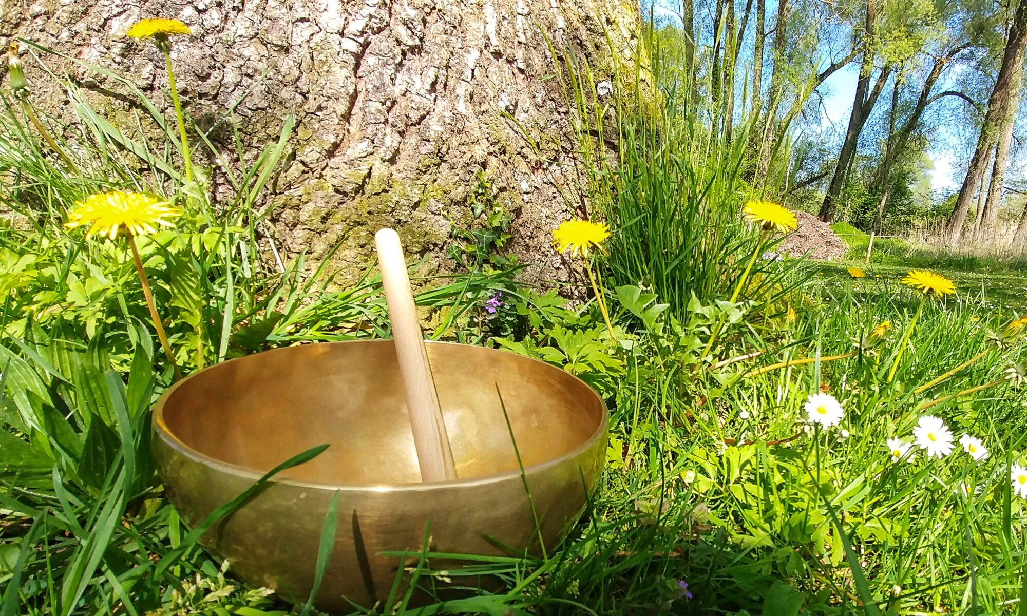 Klangschalenmassage in Rosenheim